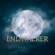 Flow Endwalker Single