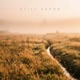 Still Vapor Single