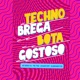 Techno Brega Bota Gostoso feat Mc Thay RJ Single