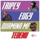 Tedenu feat Tripcy Eugy Quamina Mp Single