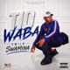 Swilu Swamina Single