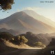sunny with no plans Single
