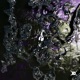 Malfunction DK006 EP