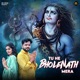 Tu He Bhole Nath Mera Single