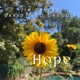 Hope Single
