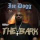 The BARK Single