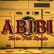 ABIBI TURBO FOLK REMIX Single