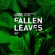 Fallen Leaves Single