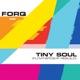 Tiny Soul flymyspcshp rebuild Single