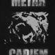 METAR EP