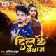 Dil Ke Aawaj Single