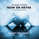 Now or Never feat Treesha Denham Smith Andy Mac Remix Single