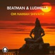 Om Namah Shivaya Single