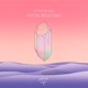 Crystal Reflections Single