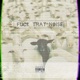 F k That Noise Single