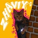 Zhaviy Single