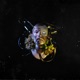 Off the Wata Single