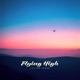 Flying High Single