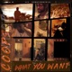 What You Want Single