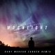 Moonlight feat Storyboards Ulchero Rant Marson Zander Remix Single