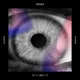 Locked Single