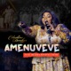 Amenuveve Grace Single feat Bethel Revival Choir Single