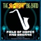 Field of Hopes and Dreams feat Insaneintherainmusic Single