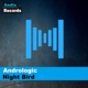 Night Bird Single