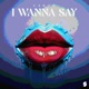 I Wanna Say Single