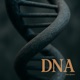 DNA Single