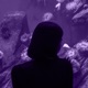 Aquarium Single