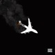 Flight Risk Single