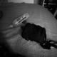 Cooling feat MoneyMachine Single