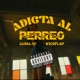 Adicta al Perreo Single