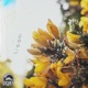 Bloom Single
