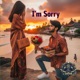 I m Sorry Single
