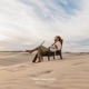 Dust over Dunes Single
