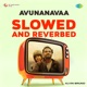 Avunanavaa From Ori Devuda Slowed And Reverbed Single