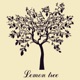 Lemon Tree Single