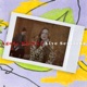 Niewygodnie Agora Muzyka Live Sessions Single