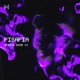Hybrid Boom V2 Radio Edit Single