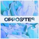 Opposites Single