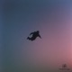 freefall Single