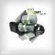 Ten Stacks Single