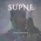 Supne Single