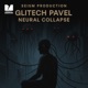 Neuronal Collapse Single