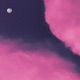 Dopamine Single