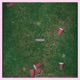 Should Be Sleep Single