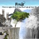 Fruit Single