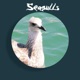 Feeling of Love Seagulls Single
